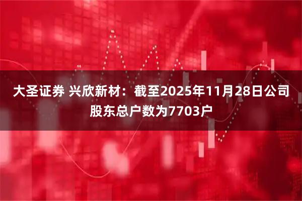 大圣证券 兴欣新材：截至2025年11月28日公司股东总户数为7703户