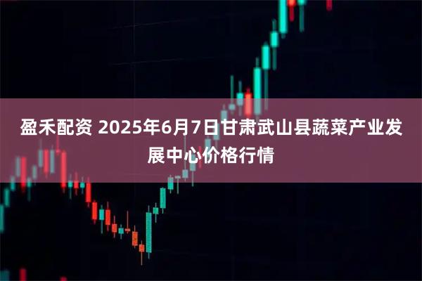 盈禾配资 2025年6月7日甘肃武山县蔬菜产业发展中心价格行情