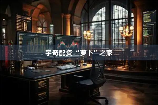 宇奇配资 “萝卜”之家